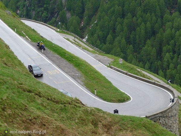 Dzień-8 / Praca idealna - bus driver